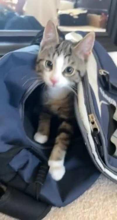 Peanut says no paparazzi!