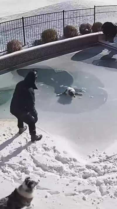 Evil person puts dog in ice cold water