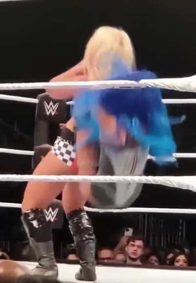 Sasha jiggle (upscaled 60fps)