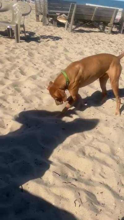 My boy attacking the shadow monsters!