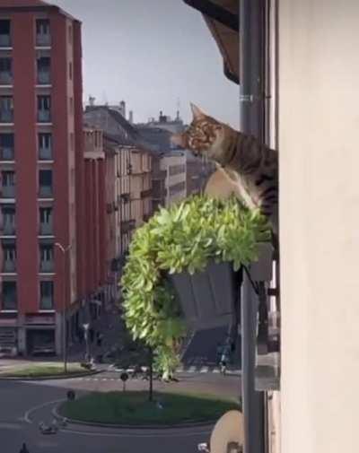 Life With The Neighbour Stalker