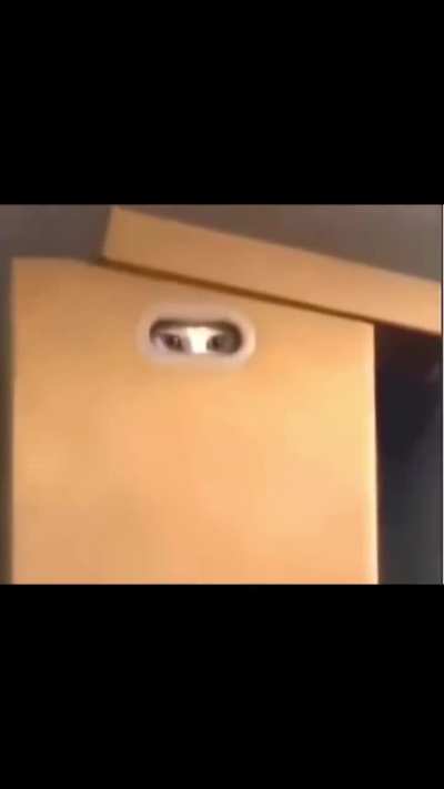 🫸🏻Absolute Cinema🫷🏻