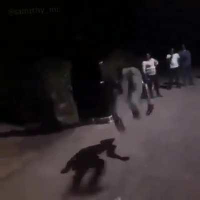 the ultra griddy 👌👈👈👈👈👈👈👈