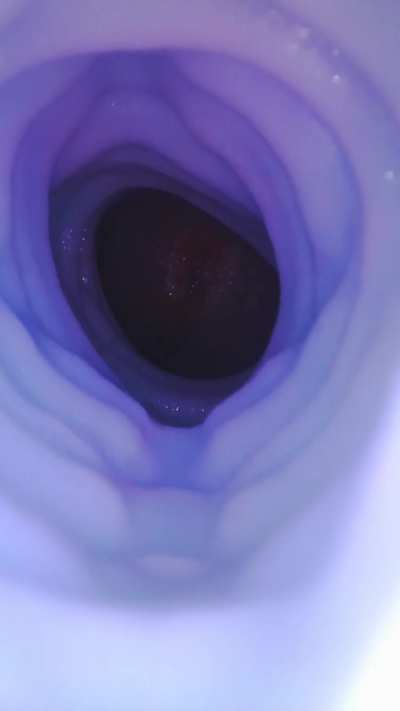 I want to make someone pregnant, any volunteers?