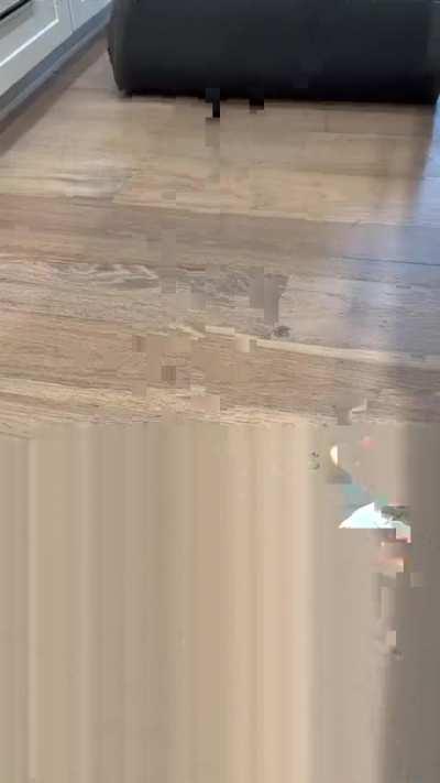 cleaning is your thearpy