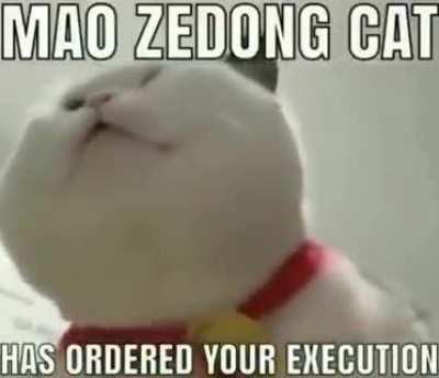 Illegal sub -500 social credit