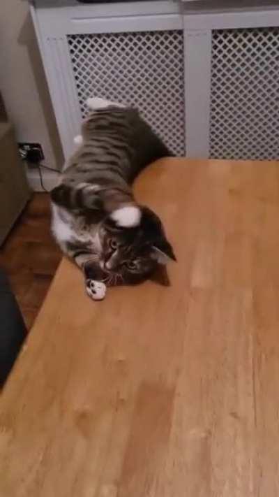 Вилсоооон!..