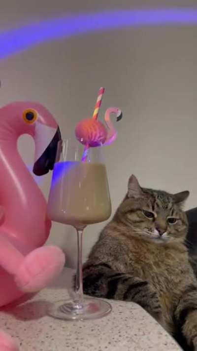 Situation: I bum zua allan zhaus, weil Corona