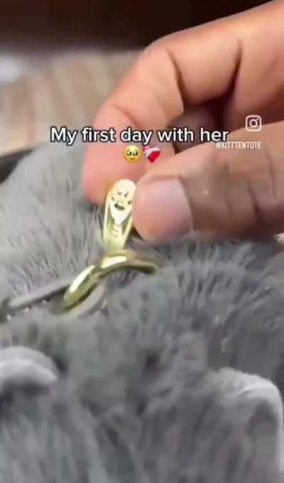 Broooo what they do to wunk?!!