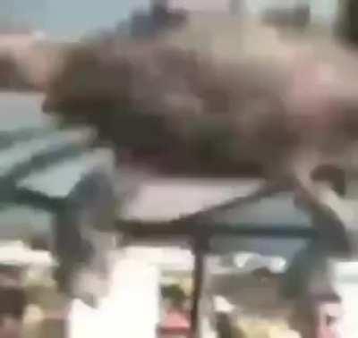 Woaaaaah look at em gooooo!!!!!