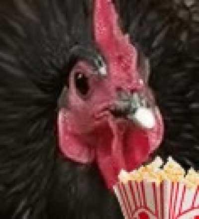 i made this for your internet posting needs