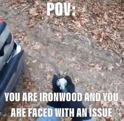 “And if that don’t work, then use more gun”