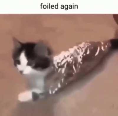 He was in fact foiled
