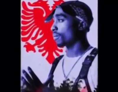 Tupeci😳😎👌🏼👌🏼🇦🇱