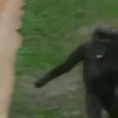 Gameplay de Wukong editada pelo Boizão