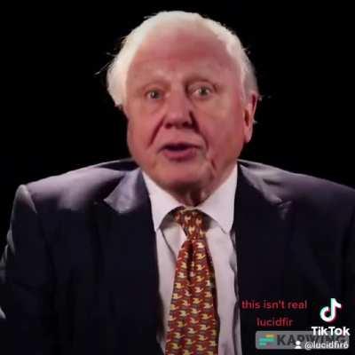 Vietnam 2 greentext, by David Attenborough