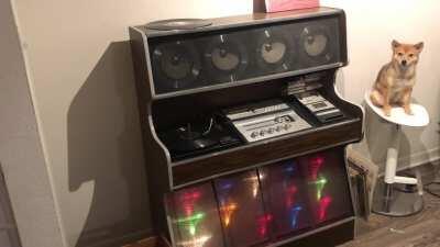 I Don't Want to Set the World on Fire - The Ink Spots. (My 1970 Morse Electrophonic Total Music System) Disregard my pup in her chair lol.