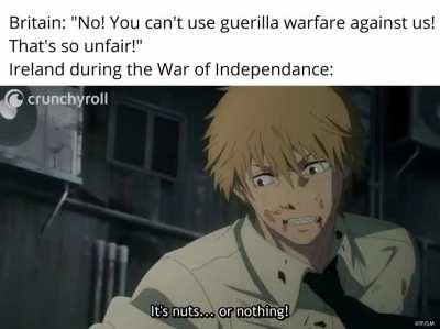 Ireland aims for the nuts