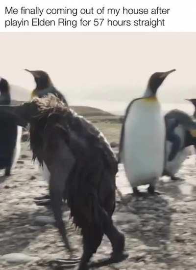 Ahhhhh rise you tarnished.