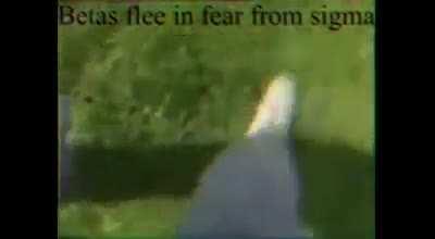 Most favorable interpretation of the non-aggression principle