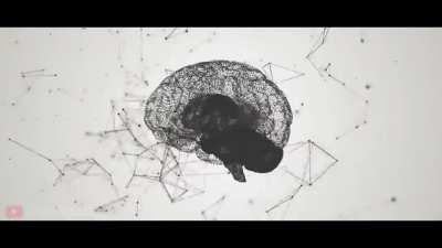 The Great Reset “Energy systems, food systems and supply chain systems will be deeply affected. We will destroy unfortunately a lot of employment”… “humans will be hackable animals”… “the future is already here”…