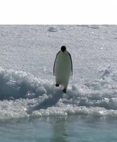 Simple Yet Elegant Meme