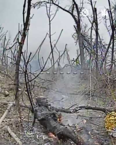 A russian invader sitting in bushes was eliminated and set on fire by an FPV of Ukrainian 414th UAS Brigade “Magyar's Birds.” 13.04.2026