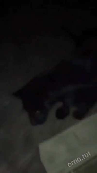 Hello, can i come in..