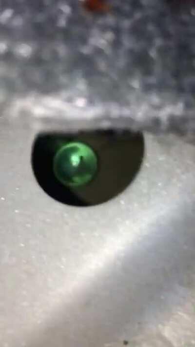 After literal years (and multiple trips to the dealer) of searching for the cause of the clinking noise in my car every time I took a turn. What are the chances this happened accidentally?