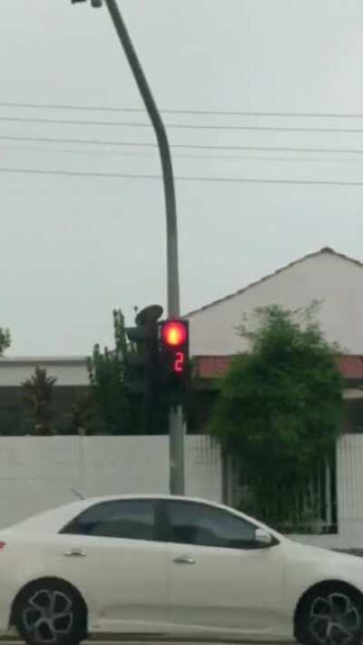 Traffic light tercepat di dunia