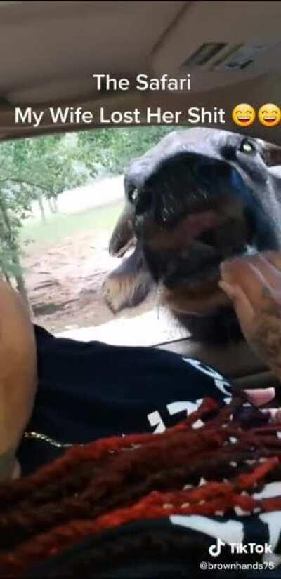 &ldquo;Go to the next car, SIR!&rdquo;