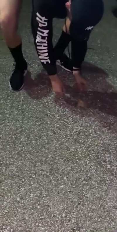 Wrangling a Giant Moth