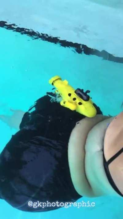 The Mission that I chose to accept: Find and penetrate The Isle of Randalin. Recover all the missing cakes 🍰🧁, set the chargers and flee before it detonates. 💥I did crash-land my sub but we escaped with mere scratches. Mission accomplished 🕺🏽 👍🏽 out !