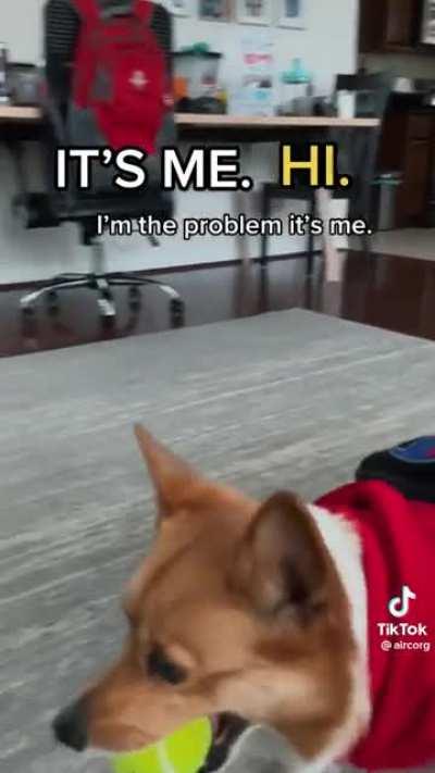 This hooman is broken