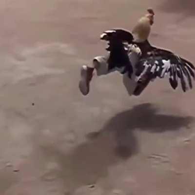 Some got the drip other got the SAUCE