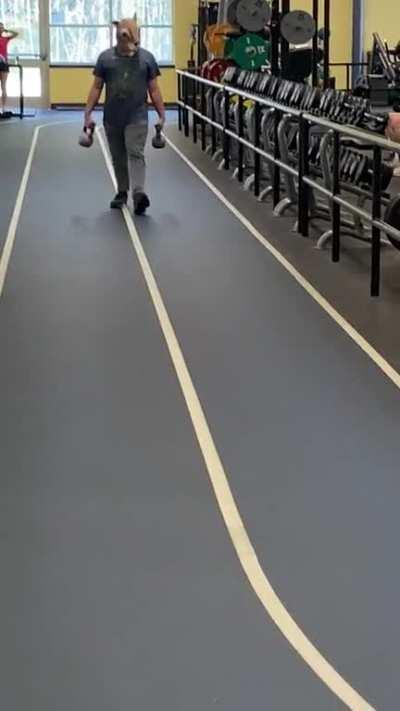 Squirrels are the enemy