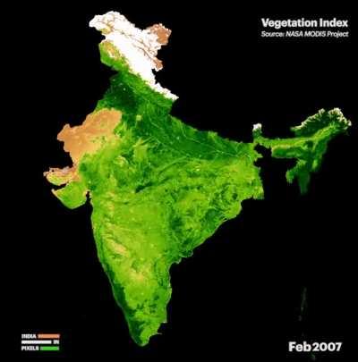 Vegetation Intensity of India from Feb 2000 to Dec 2019
