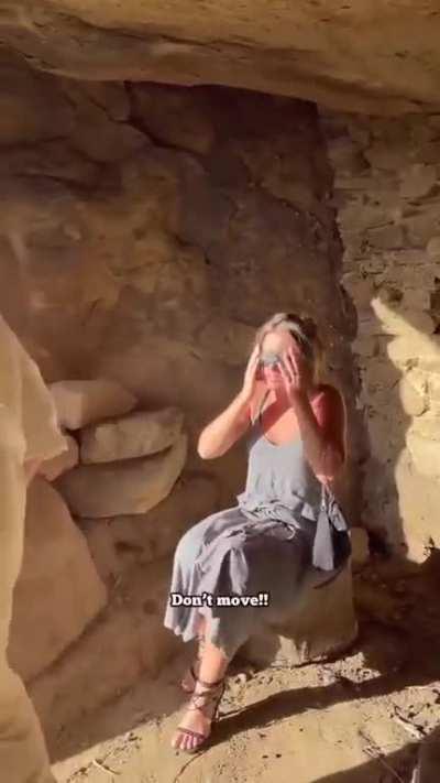 I feel like we need to introduce Schlatt to TooTurntTony. Upvote this so he may be enlightened