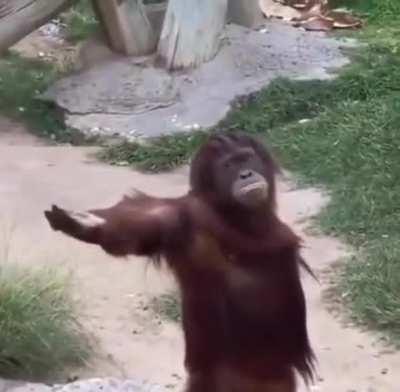 bro isn't asking anymore, he's demanding