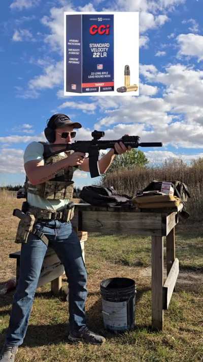 AR22 SS Ammo Testing