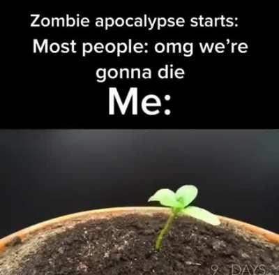 Plants vs Zombies