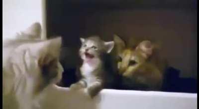 Hello World keeps crashing