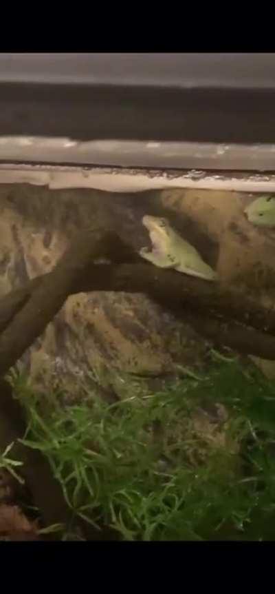 When the spray bottle hits different