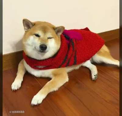 se que ya me tengo que despedir pero quería verlo por ultima vez :(