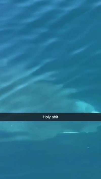 You gonna need a bigger boat