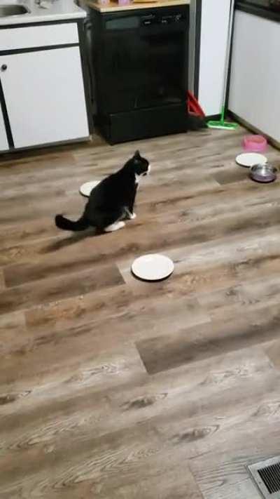 Roxy wants. Roxy gets.