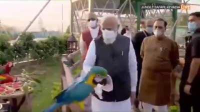 Oh ho TotaJi Full on ramdibaaji