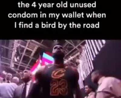 i'm not hearing anyone out