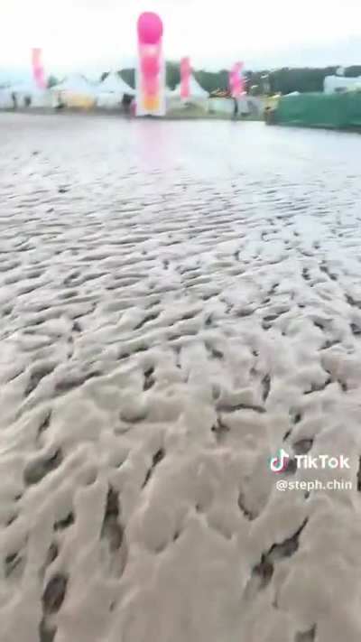 Thomasin’s buzz cut era