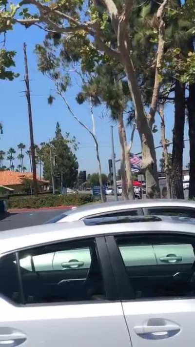 Sent this to all my liberal friends 🤭🤣